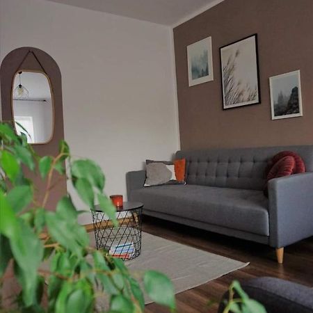 Cozy Apart Toplita Εξωτερικό φωτογραφία