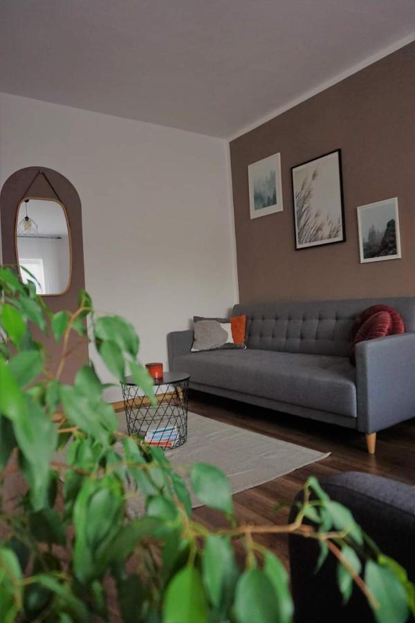 Cozy Apart Toplita Εξωτερικό φωτογραφία