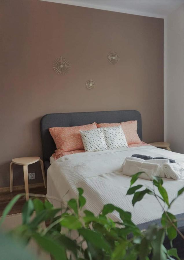 Cozy Apart Toplita Εξωτερικό φωτογραφία